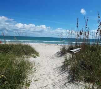 avalon state park in Florida is swimming, nature, miles of beach and canoeing for kids