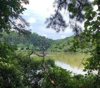 Elwyn John Wildlife Sanctuary