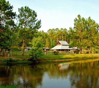 General coffee state park