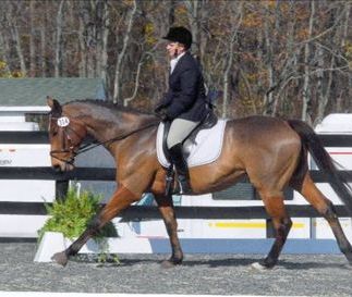 Needville Horseback Riding
