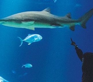 new york aquarium