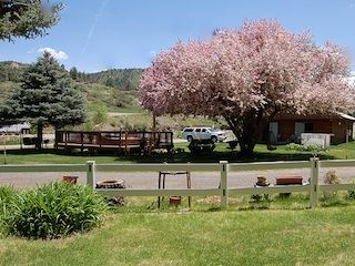 Blanco river rv park