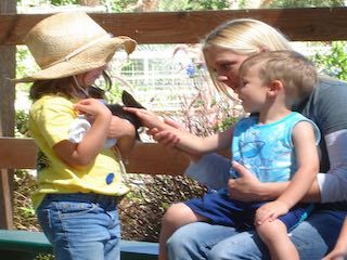 Underwood family farm moorpark
