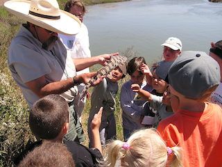 Hayward shoreline interpretive center