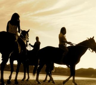 beach horse riding in florida great activities for kids with horsesurfing