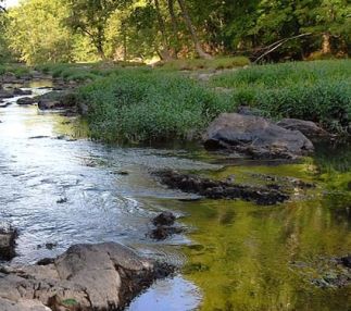 eno river state park north carolina great outdoor adventure for all