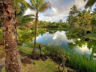 Na aina kai botanical gardens