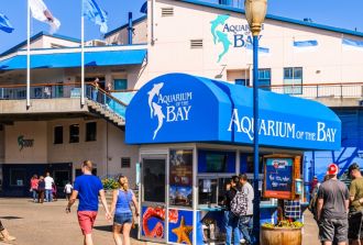 Aquarium Of The Bay in San Francisco!
