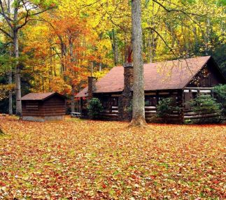 Seneca state forest