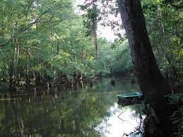 big-thicket-reserve