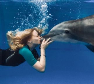 ocean adventures marine park mississippi dolphin experiences encounters for families