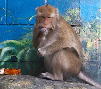 folsom city zoo sanctuary california animal fun for kids