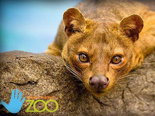 Lincoln childrens zoo