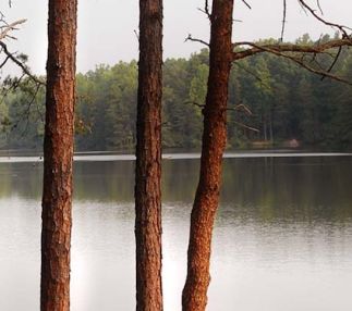lake norman state park north carolina fun outdoors adventure for kids with swimming hiking and biking