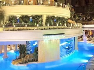 Golden nugget pool