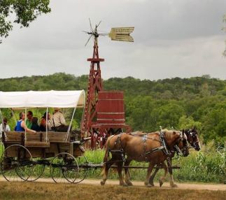 pioneer farms austin living history museum