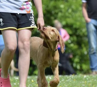 girl with dog on leash