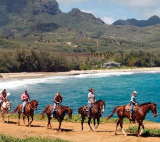 Cjm stables