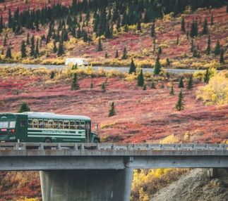 Denali National park
