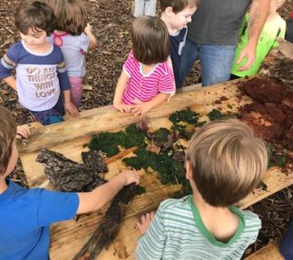  white pine wilderness academy