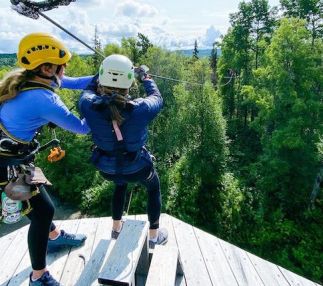 denali zipline tours