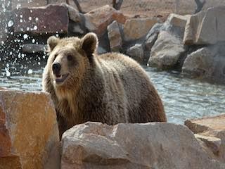 Keepers of the wild nature park