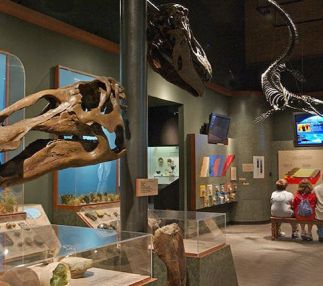 mcclung museum natural history and culture