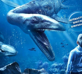 Things To Do In Brisbane For Kids!
