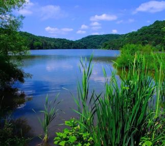 Beech fork state park