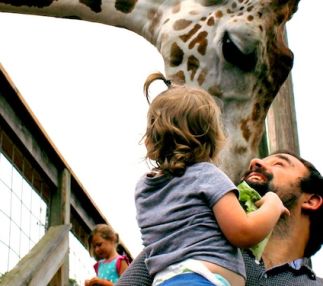  zoo world florida
