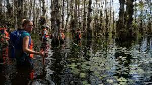big-cypress-reserve