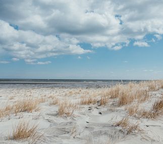 Corson's Inlet State