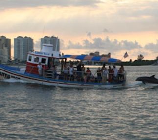 little toot dolphin adventures florida dolphin spotting clearwater harbor