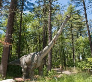 edaville family theme park is a fun day out with kids with rides and more!