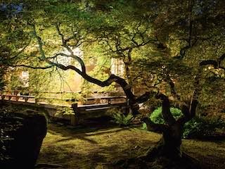 Portland japanese garden