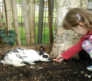 old mcdebbies farm with animals for animal fun in washington