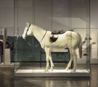 george-patton-museum