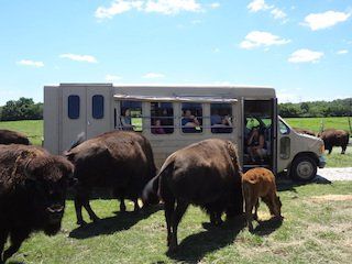 Wildlife prairie park
