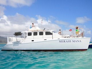 All hawaii cruises