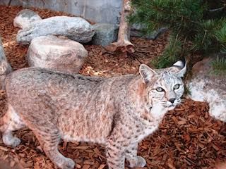 Alameda park zoo