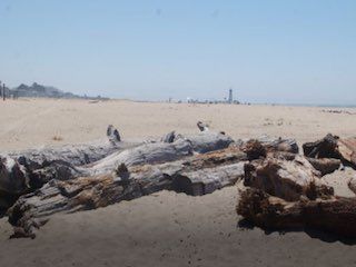 Seabright state beach