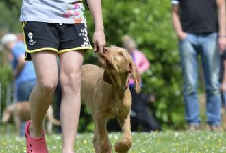 girl with dog on leash