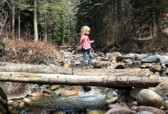 Dad and daughter on log over river