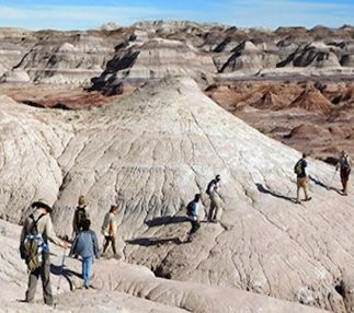 petrified forest national park arizona stunning wilderness adventure for the family with h