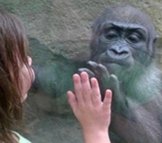 franklin park zoo