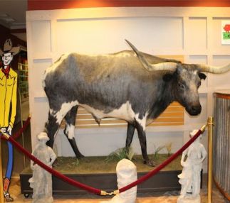 mooseum alabama beef cattle industry