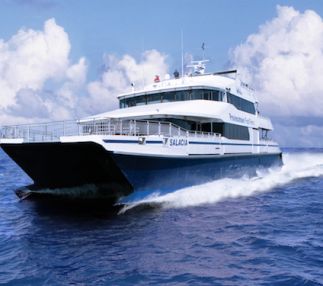 boston harbor cruises codzilla
