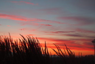 Fun things to do in Seattle with kids!