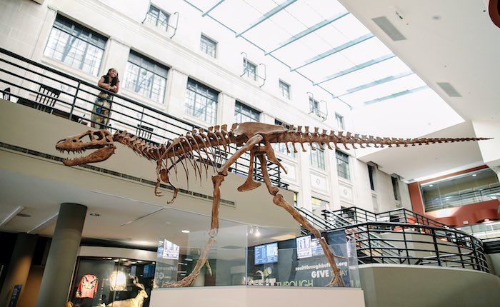buffalo museum of science new york dinosaur skeleton