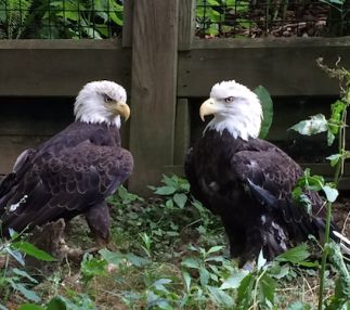ohio bird sanctuary nature preserve for kids